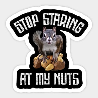 Stop Staring at my Nuts - funny Squirrel Sticker